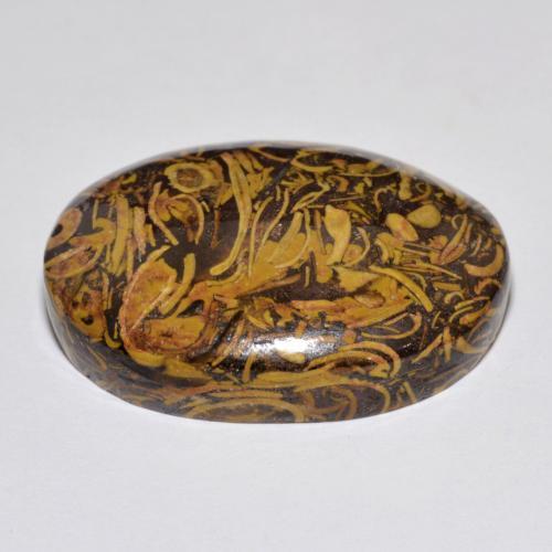 Jaspe multicolor natural de 37,59 ct, corte óvalo, opaco