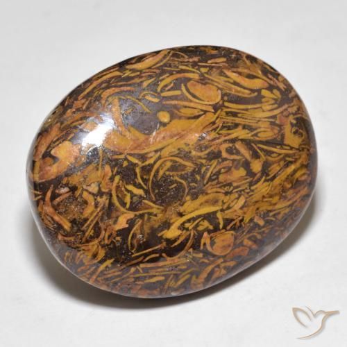Jaspe Multicolor natural de 48.67 ct, Ovalada, Opaco