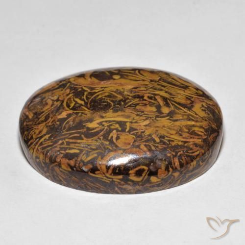 Jaspe Multicolor natural de 48.67 ct, Ovalada, Opaco