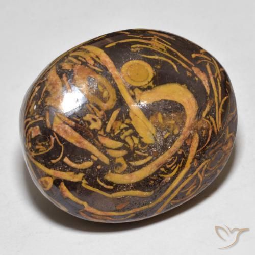 Jaspe Multicolor natural de 48.68 ct, Ovalada, Opaco