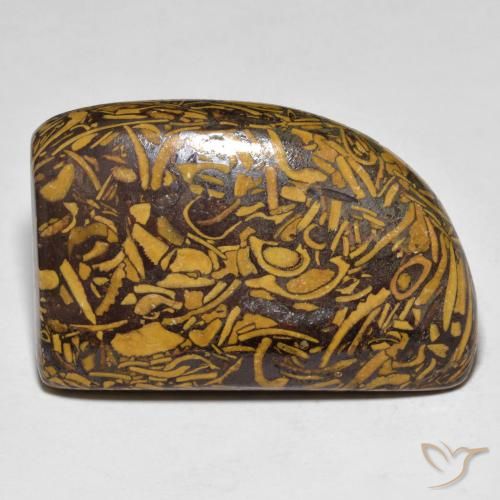 39.25ct Natural Multicolor Jaspe, Elegante, Opaco