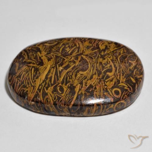 Jaspe Multicolor natural de 60.90 ct, Ovalada, Opaco