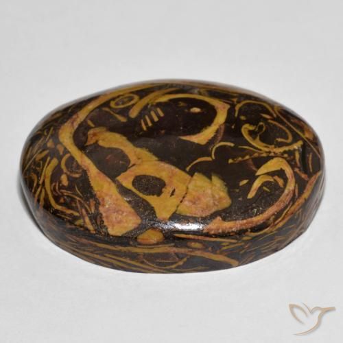 Jaspe Multicolor natural de 77.56 ct, Ovalada, Opaco