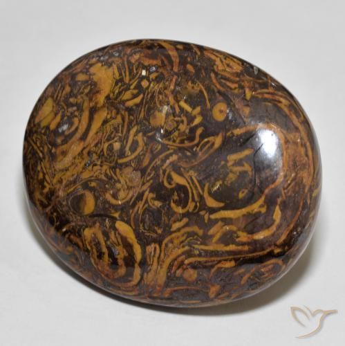 Jaspe Multicolor natural de 87.67 ct, Ovalada, Opaco