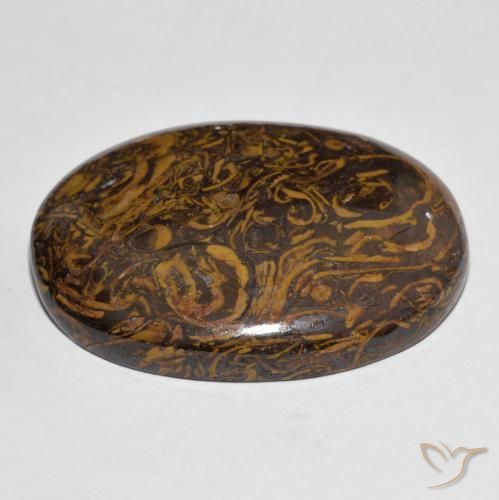 Jaspe Multicolor natural de 87.67 ct, Ovalada, Opaco