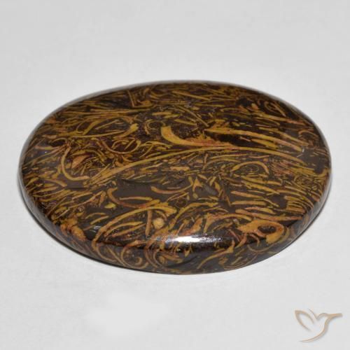 Jaspe Multicolor natural de 77.23 ct, Ovalada, Opaco