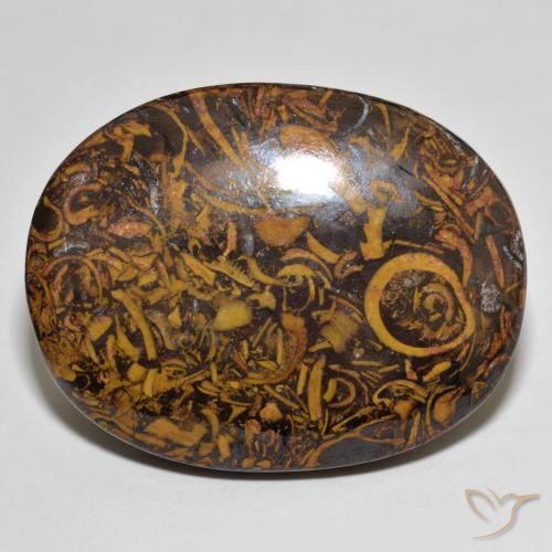Jaspe Multicolor natural de 78.76 ct, Ovalada, Opaco