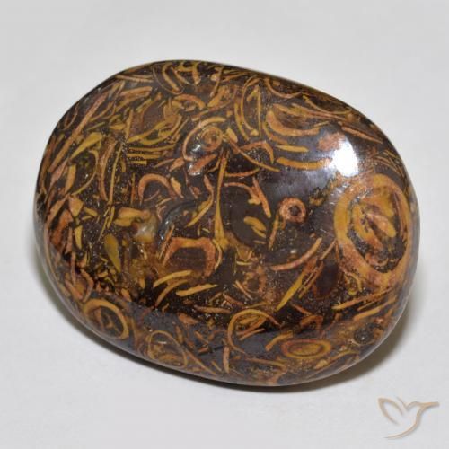 Jaspe Multicolor natural de 61.30 ct, Ovalada, Opaco
