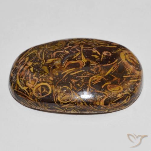 Jaspe Multicolor natural de 61.30 ct, Ovalada, Opaco
