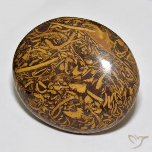 Jaspe Multicolor natural de 66.56 ct, Ovalada, Opaco
