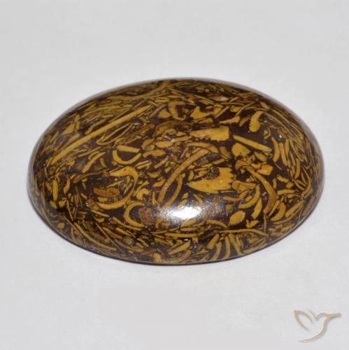 Jaspe Multicolor natural de 66.56 ct, Ovalada, Opaco