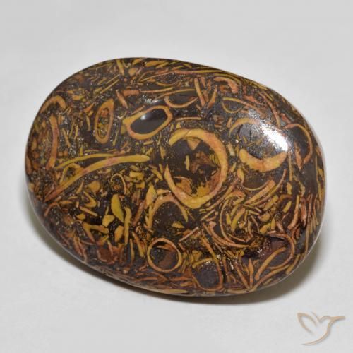 Jaspe Multicolor natural de 63.83 ct, Ovalada, Opaco