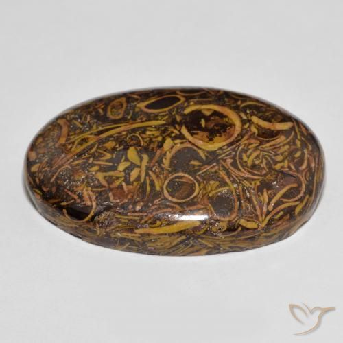 Jaspe Multicolor natural de 63.83 ct, Ovalada, Opaco