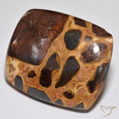 Jaspe Multicolor natural de 21.09 ct, Forma Cojín, Opaco