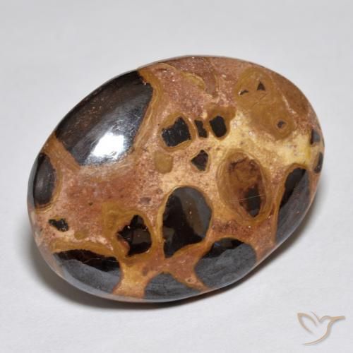 Jaspe Multicolor natural de 17.02 ct, Ovalada, Opaco
