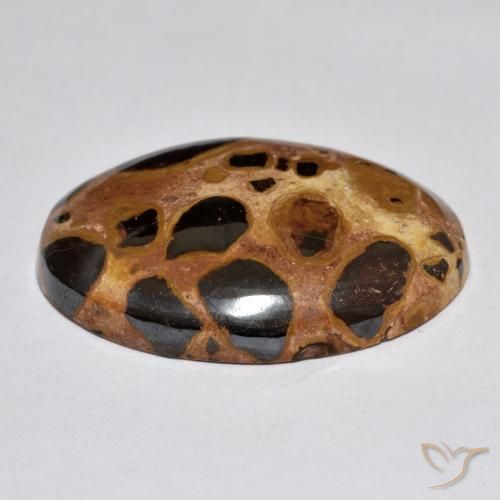 Jaspe Multicolor natural de 17.02 ct, Ovalada, Opaco