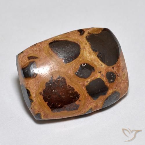 Jaspe Multicolor natural de 9.85 ct, Forma Cojín, Opaco
