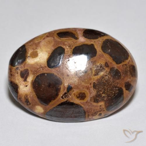 15.52ct Natural Multicolor Jaspe, Ovalada, Opaco