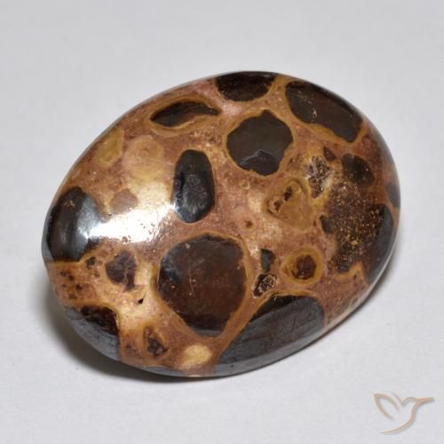 Jaspe Multicolor natural de 15.52 ct, Ovalada, Opaco