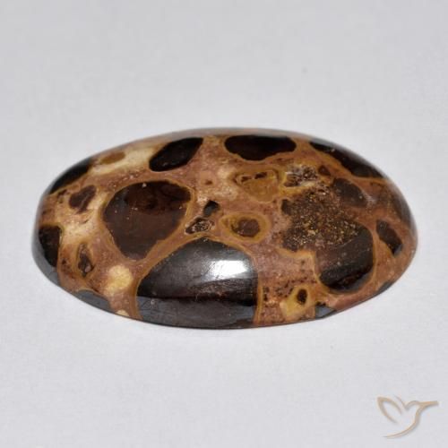 Jaspe Multicolor natural de 15.52 ct, Ovalada, Opaco