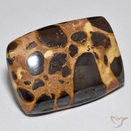 Jaspe Multicolor natural de 21.42 ct, Forma Cojín, Opaco