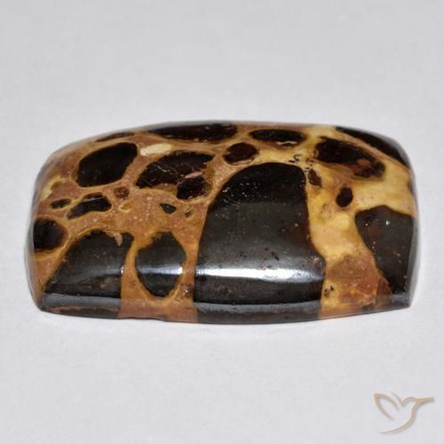 Jaspe Multicolor natural de 21.42 ct, Forma Cojín, Opaco