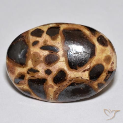 Jaspe Multicolor natural de 17.21 ct, Ovalada, Opaco
