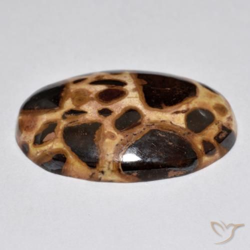 Jaspe Multicolor natural de 17.21 ct, Ovalada, Opaco
