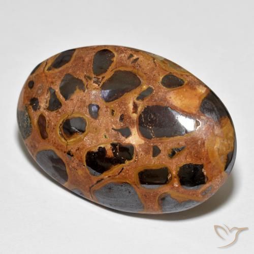 Jaspe Multicolor natural de 23.58 ct, Ovalada, Opaco