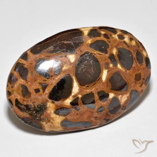 Jaspe Multicolor natural de 24.47 ct, Ovalada, Opaco
