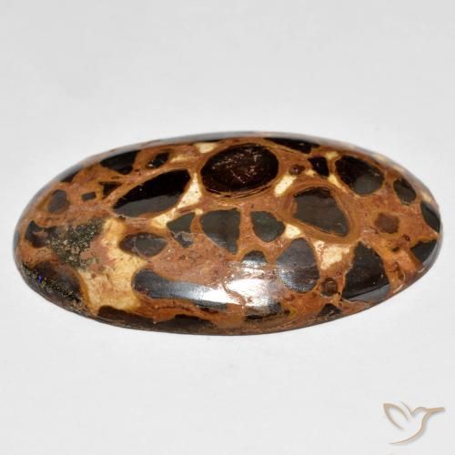 Jaspe Multicolor natural de 24.47 ct, Ovalada, Opaco