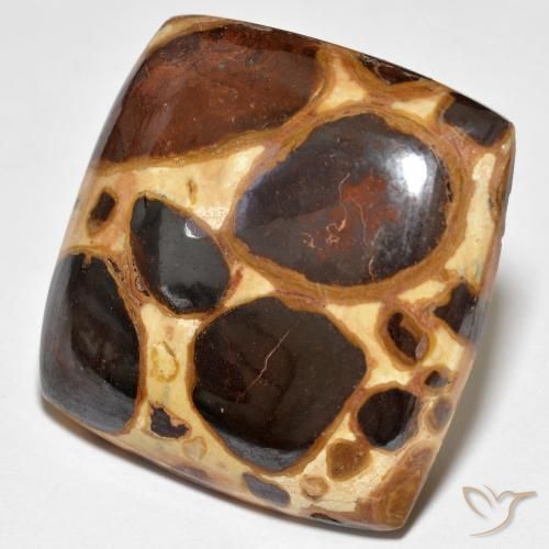 Jaspe Multicolor natural de 27.48 ct, Forma Cojín, Opaco