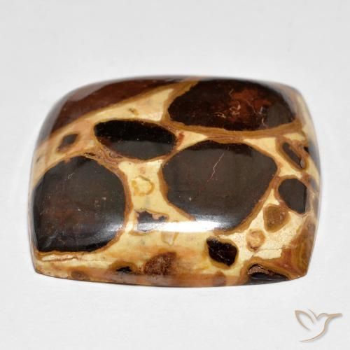 Jaspe Multicolor natural de 27.48 ct, Forma Cojín, Opaco