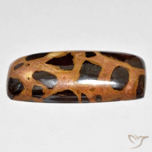 Jaspe Multicolor natural de 18.09 ct, Forma Cojín, Opaco