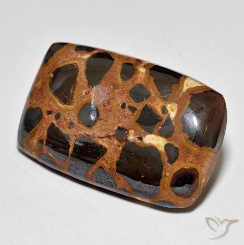 Jaspe Multicolor natural de 20.40 ct, Forma Cojín, Opaco