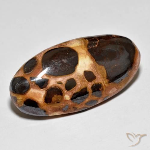 Jaspe Multicolor natural de 19.60 ct, Ovalada, Opaco