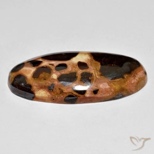 Jaspe Multicolor natural de 19.60 ct, Ovalada, Opaco