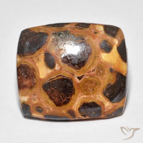 Jaspe Multicolor natural de 12.18 ct, Forma Cojín, Opaco