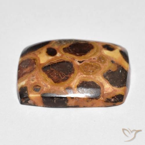 Jaspe Multicolor natural de 12.18 ct, Forma Cojín, Opaco