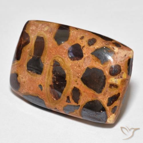 Jaspe Multicolor natural de 19.75 ct, Forma Cojín, Opaco