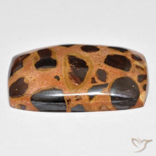 Jaspe Multicolor natural de 19.75 ct, Forma Cojín, Opaco