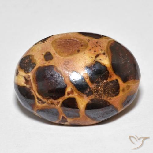 14.82ct Natural Multicolor Jaspe, Ovalada, Opaco