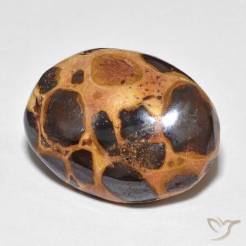 Jaspe Multicolor natural de 14.82 ct, Ovalada, Opaco