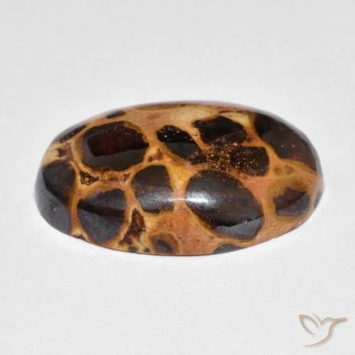 Jaspe Multicolor natural de 14.82 ct, Ovalada, Opaco
