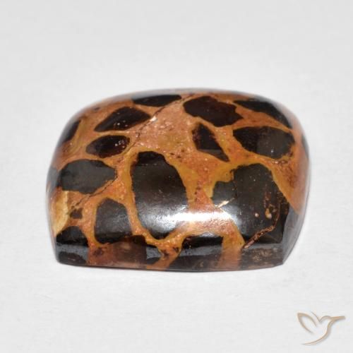 Jaspe Multicolor natural de 14.39 ct, Forma Cojín, Opaco