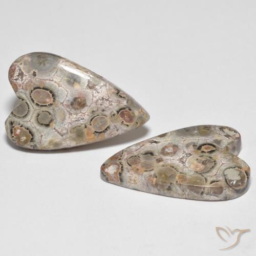 Gemas de Jaspe Multicolor natural de 16.26 ct, Corazón, Opaco