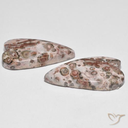 Gemas de Jaspe Multicolor natural de 17.92 ct, Corazón, Opaco