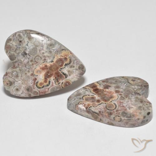 Gemas de Jaspe Multicolor natural de 22.13 ct, Corazón, Opaco