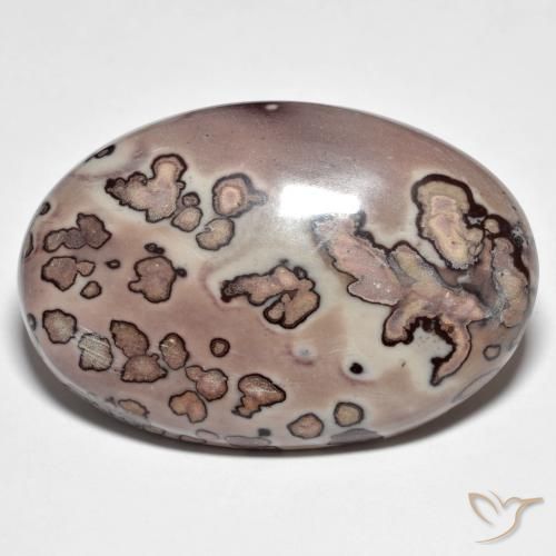 Jaspe Multicolor natural de 44.30 ct, Ovalada, Opaco