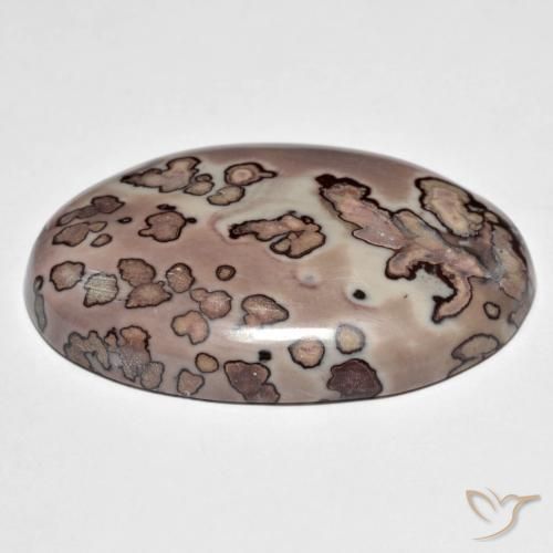 Jaspe Multicolor natural de 44.30 ct, Ovalada, Opaco